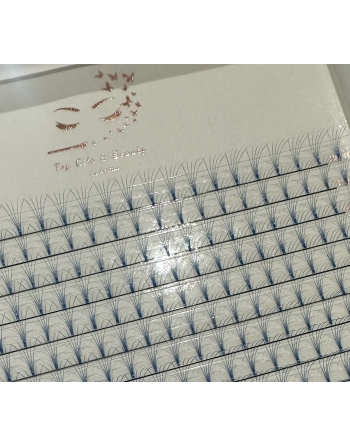 5D xl color (grandes boites)