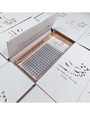 Volume 10D (ancienne...